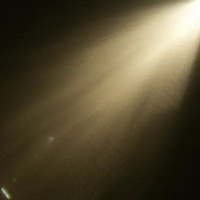 Illustration plumes - Image 1