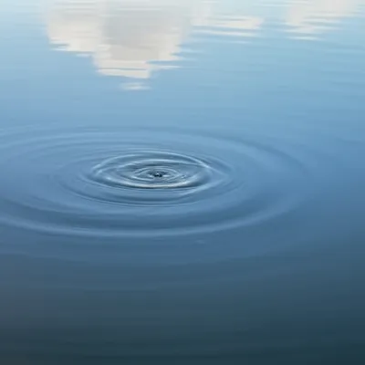 Illustration ruffle - Image 1