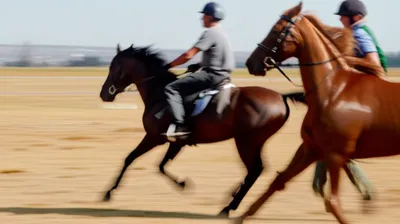 Illustration relayed - Image 1