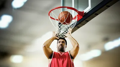 Illustration bunnies - Image 1