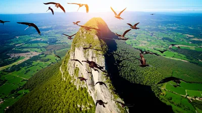 Illustration descending - Image 1