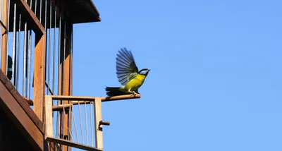 Illustration discharged - Image 1