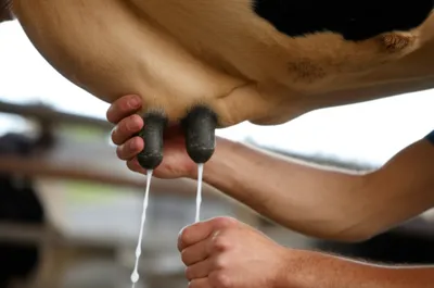 Illustration strip - Image 1