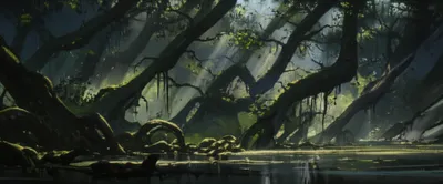 Illustration obliques - Image 1