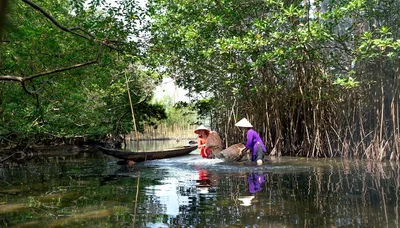 Illustration snares - Image 2