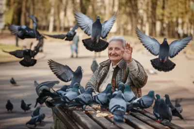 Illustration shoo - Image 1