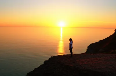 Illustration trusts - Image 1