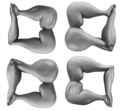 Illustration quads - Image 1