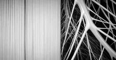 Illustration cords - Image 1