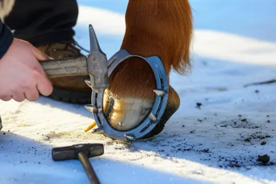 Illustration frosting - Image 1