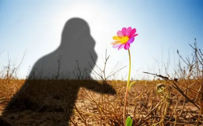 Illustration disregarded - Image 1