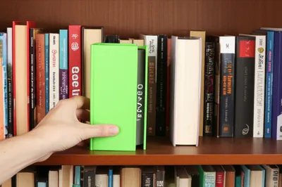 Illustration allocated - Image 1