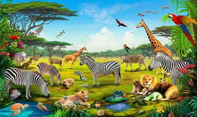 Illustration zoological