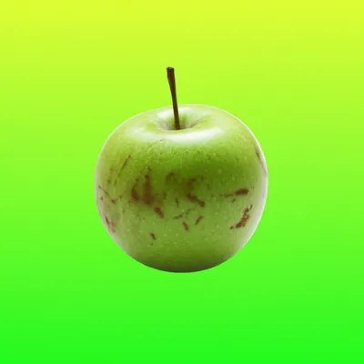 Illustration worn - Image 1