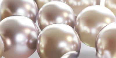 Illustration pearl - Image 1