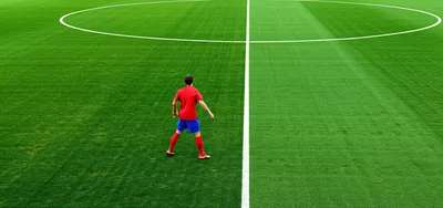 Illustration wing - Image 1