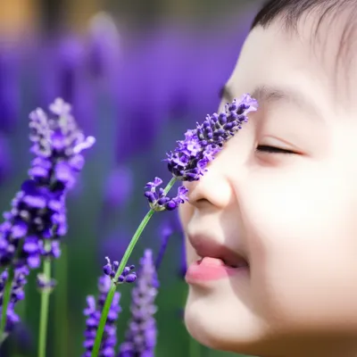 Illustration sniff - Image 1