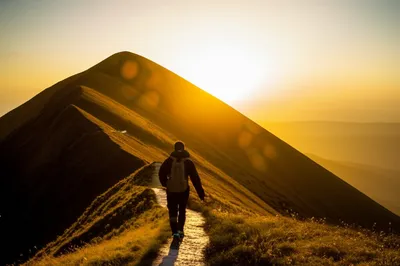 Illustration betake - Image 1