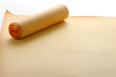 Illustration unrolled - Image 1