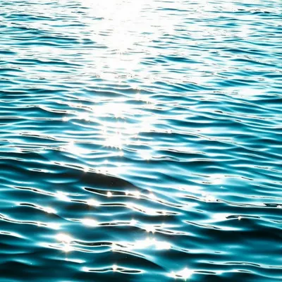 Illustration curl - Image 1