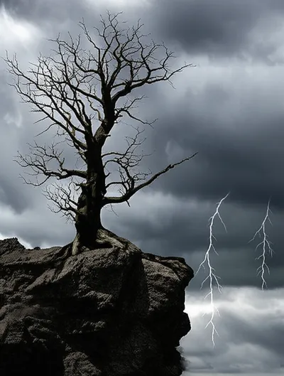 Illustration tribulation