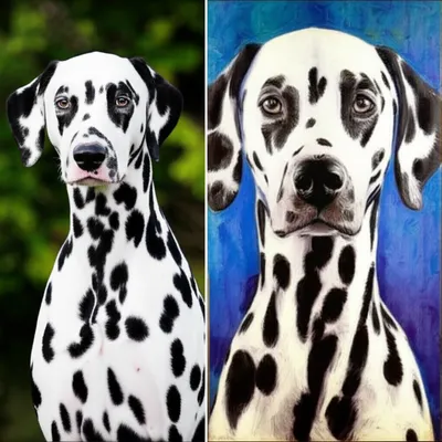 Illustration resemblance