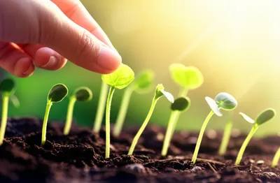 Illustration predisposes - Image 1