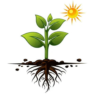 Illustration living - Image 1