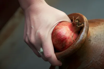 Illustration squeezed - Image 1