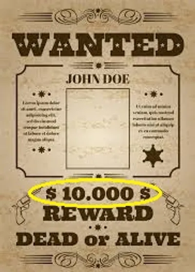 Illustration bounty - Image 5