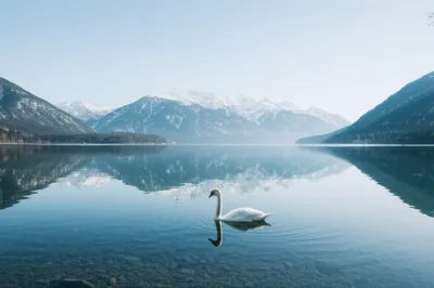 Illustration sta - Image 1