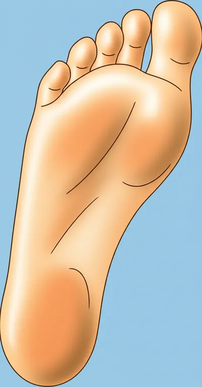 Illustration sole - Image 1