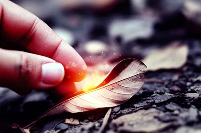 Illustration sparked - Image 1