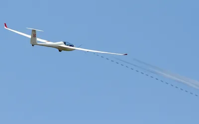 Illustration crabs - Image 1