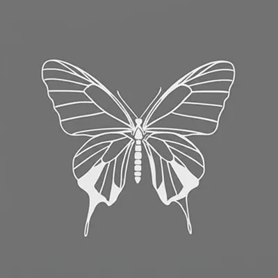 Illustration conversion