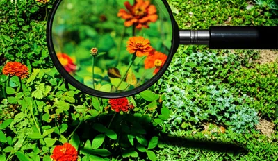 Illustration detectable