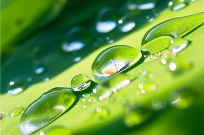 Illustration wets - Image 1