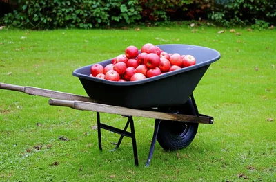 Illustration load - Image 1