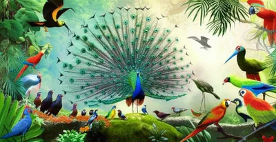 Illustration impresses - Image 1