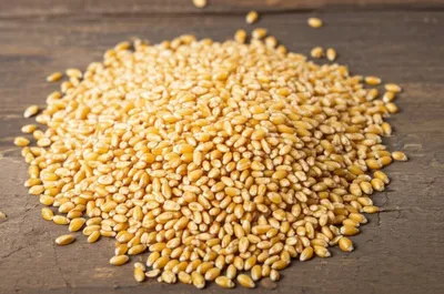 Illustration gavel - Image 1