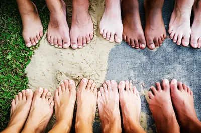 Illustration soles - Image 1