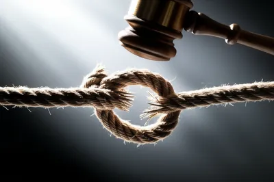 Illustration cloture - Image 1