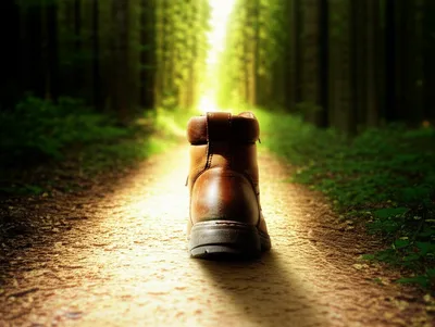 Illustration chooses - Image 1