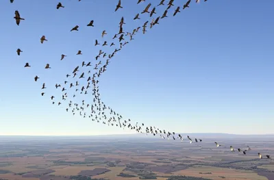 Illustration kettles - Image 1