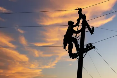 Illustration linos - Image 1