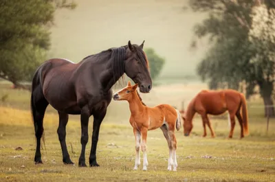 Illustration bye - Image 1