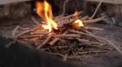 Illustration kindling - Image 2