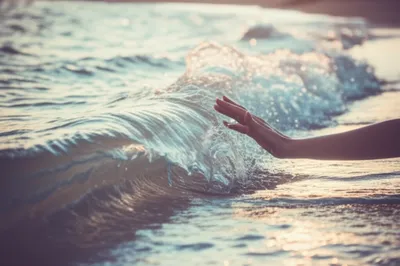 Illustration edging - Image 1