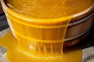 Illustration fats - Image 1