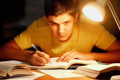 Illustration revised - Image 1